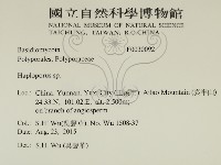 登錄號:F0030092藏品圖，第2張