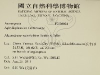 登錄號:F0030094藏品圖，第2張