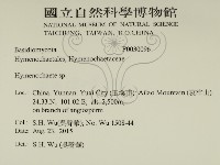 刺革菌屬藏品圖，第2張