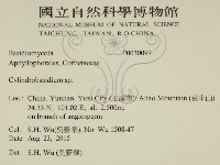 柱擔菌屬藏品圖，第2張