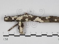 登錄號:F0030098藏品圖，第1張