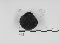 登錄號:F0030102藏品圖，第1張