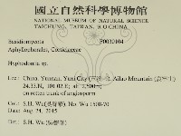 絲齒菌屬藏品圖，第2張