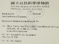 登錄號:F0030108藏品圖，第2張