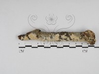 登錄號:F0030108藏品圖，第1張