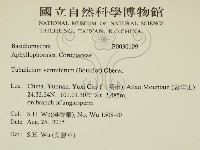 登錄號:F0030109藏品圖，第2張