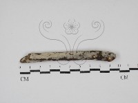 登錄號:F0030109藏品圖，第1張