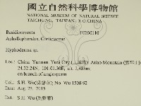 絲皮菌屬藏品圖，第2張