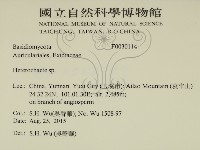 刺皮菌屬藏品圖，第2張