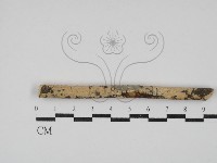 登錄號:F0030115藏品圖，第1張