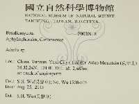 阿太菌屬藏品圖，第2張