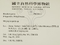 登錄號:F0030119藏品圖，第2張