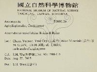 登錄號:F0030126藏品圖，第2張