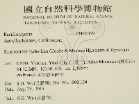 針齒銳岩菌藏品圖，第2張