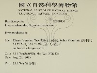 刺革菌屬藏品圖，第2張