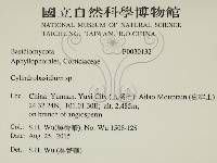柱擔菌屬藏品圖，第2張