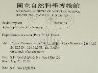 登錄號:F0030133藏品圖，第2張