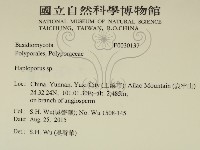 登錄號:F0030137藏品圖，第2張
