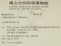 登錄號:F0030138藏品圖，第2張