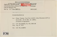 登錄號:F0030138藏品圖，第3張