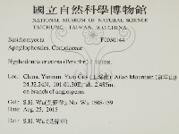 館號:F0030144藏品圖，第2張