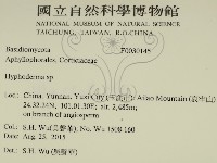絲皮菌屬藏品圖，第2張