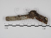 登錄號:F0030147藏品圖，第1張