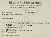 絲皮菌屬藏品圖，第2張