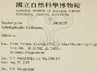 射脈菌屬藏品圖，第2張