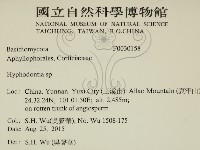 絲齒菌屬藏品圖，第2張