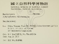 齒耳菌屬藏品圖，第2張