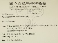 齒耳菌屬藏品圖，第2張