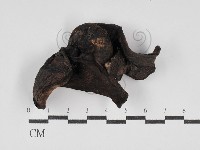 登錄號:F0030163藏品圖，第3張