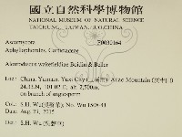 登錄號:F0030164藏品圖，第2張