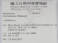 絲齒菌屬藏品圖，第2張