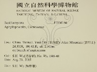 登錄號:F0030166藏品圖，第2張