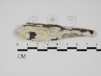 登錄號:F0030166藏品圖，第1張