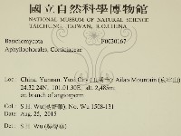 登錄號:F0030167藏品圖，第2張