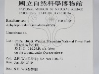 靈芝屬藏品圖，第2張