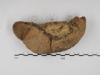 登錄號:F0030169藏品圖，第3張
