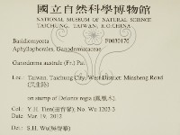 登錄號:F0030170藏品圖，第2張