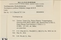 登錄號:F0030170藏品圖，第4張