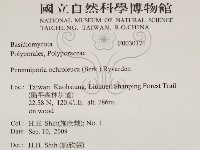 登錄號:F0030171藏品圖，第2張