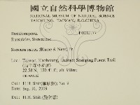 蠔韌革菌藏品圖，第2張
