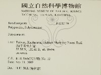 多孔菌屬藏品圖，第2張