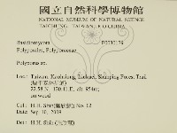 多孔菌屬藏品圖，第2張