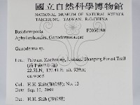 靈芝屬藏品圖，第2張