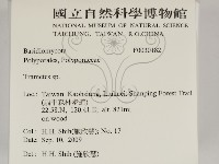 栓菌屬藏品圖，第2張