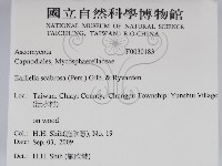 登錄號:F0030183藏品圖，第2張