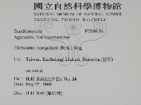 登錄號:F0030184藏品圖，第2張